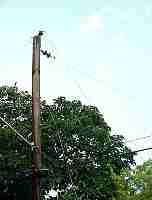 mvc-086f.jpg