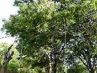 mvc-087f.jpg