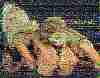 20041016_2343_cst.jpg