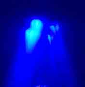 100_9156b.jpg