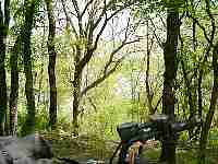 mvc_897f.jpg