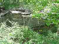 mvc_902f.jpg