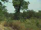 100_7774.MOV
