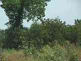 100_7775.MOV