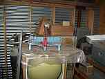 100_6591.jpg