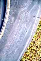 100_3119.jpg