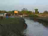 1006069.mov