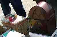 100_1564.JPG
